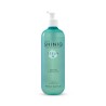 Orzax Shiniq Sebum Purifying Cleansing Gel 400 Ml