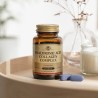 Solgar Hyaluronic Acid Collagen Complex 120 mg 30 Tablet