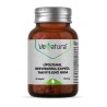 Venatura Lipozomal Resveratrol 125 mg 60 Kapsül