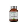 Venatura Vitamin B2 (riboflavin) 100 Kapsül